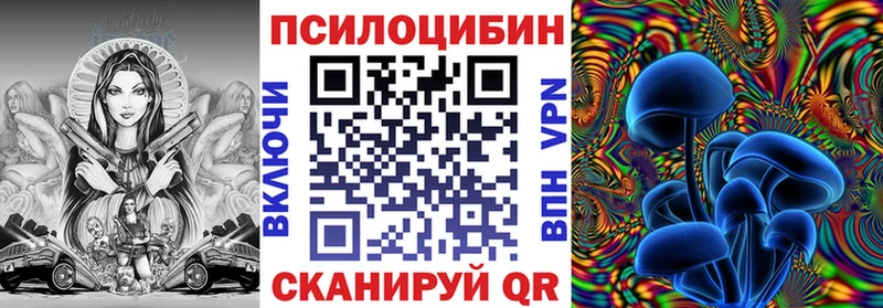 продажа наркотиков  Хилок  Псилоцибиновые грибы Psilocybine cubensis 